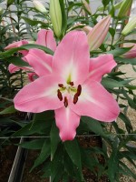 [5609 VH39 No02.JPG]